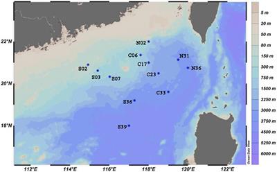 Bacterial Communities and Culturable Petroleum Hydrocarbon Degrading Bacteria in Marine Sediments in the Northeastern South China Sea